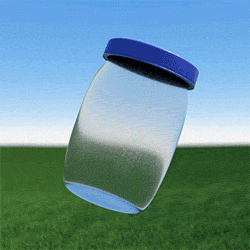 Bottle